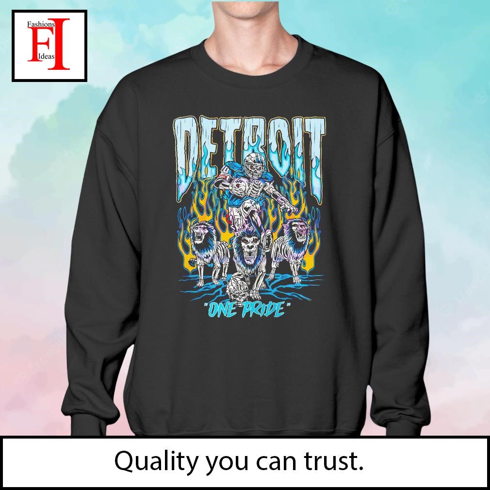 Detroit Lions One Pride Shirt, hoodie, longsleeve, sweatshirt, v-neck tee